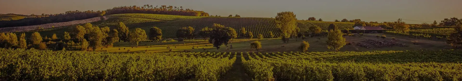 wine-page-title
