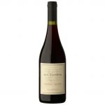 DV Catena Pinot Noir - Pinot Noir
